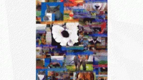 OpenAI新模型曝光：给它半张图片，能够猜测补全