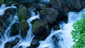 美的海尔TCL加码智能家居，华为格兰仕海信创维国美在家电业快跑