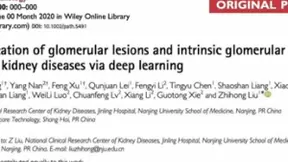 平安发表AI+病理国际论文 AI病理模型助力肾病科医生高效诊断