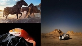 iQOO 5系列新品发布倒计时3天，刷新“快”的定义