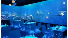 AIoT产业全面发展，柔宇为何能以柔性技术引领前行？