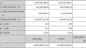 科大讯飞上半年营收43.49亿 C端成主角营收占比进一步提升