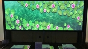 驭无界，赢未来！NEC商教投影机全国新品推广会隆重启航