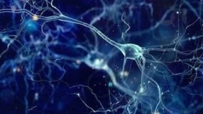 大脑观测与脑机融合装置项目：“人工智能”进化“类脑智能”