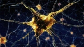 我国发布亿级神经元类脑计算机，颠覆传统模式，构建全新人工智能