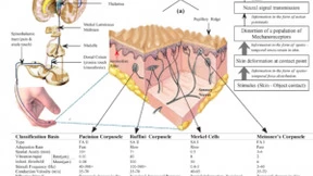 机器人与触觉传感技术的碰撞，一文初探人类与机器人的触觉传感