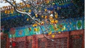 不一样的国潮，美图秀秀诠释了年轻人的生活方式