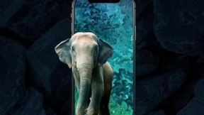 人工智能赋能视觉应用，让智能设备更好地“看懂世界”