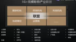 5G+视频彩铃产业联盟首次工作会议举行 共建5G+视频彩铃产业生态