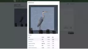 不做“虎妈狼爸”，AI让自驱式学习的梦想照进现实