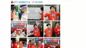 王祖蓝入职苏宁易购，双十一首场直播配合彭昱畅3小时破亿