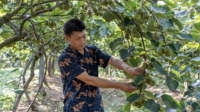 京喜11.11助力农产品产业带转型升级 11万个农户成功触网上行!