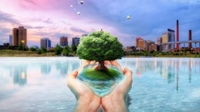 人工智能和物联网，助力环境可持续发展