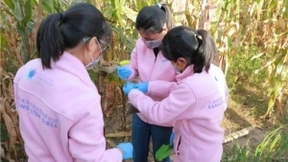 三星探知未来科技女性培养计划 助力女性人才创造无限可能