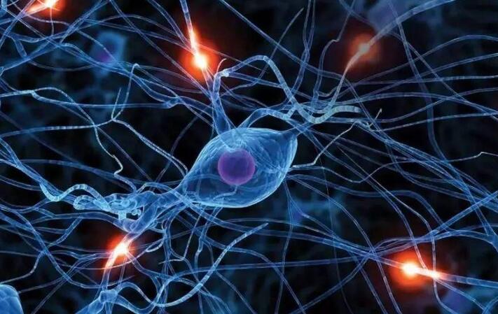 深度神经网络是为人工智能的重要基石