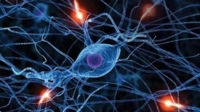 深度神经网络是为人工智能的重要基石