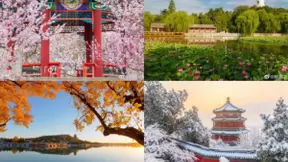 镜无止境看见不凡：2020京东摄影金像奖终极大奖即将揭晓