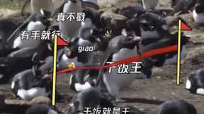 腾讯QQ发布00后年度10大热词 全都没听过的人怕是老了