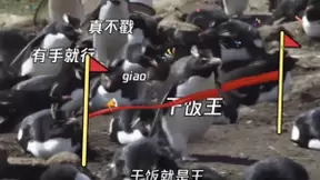 腾讯QQ发布00后年度10大热词 全都没听过的人怕是老了