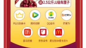 全年最大力度优惠，京东PLUS会员年度盛典1月8日开抢