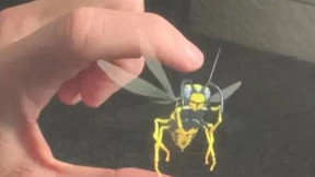 CES 2021展商3D交互全息技术成亮点，全息AR龙头微美全息有望开启新一轮爆点