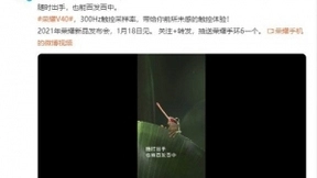 官宣：荣耀V40加持300Hz触控采样率，屏幕素质创新高