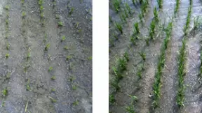 拖拉机、机器人“长眼”？百度飞桨与苏州博田农业智能化新尝试