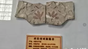 从石头解剖地球亿年秘密，这位Soul APP上的学者梦想是为科学奉献一生