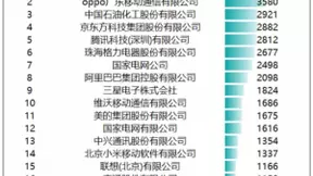 2020年我国全年发明专利授权53万件，OPPO排名企业第二