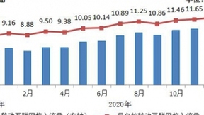 2020年我国移动互联网月户均流量达10.35GB 同比增长32%