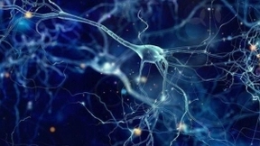 基于人工智能成功筛选出生物钟相关功能基因