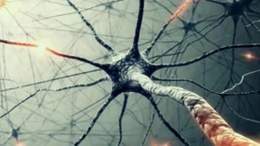 英国科学家将人类大脑的干细胞整合到芯片里头