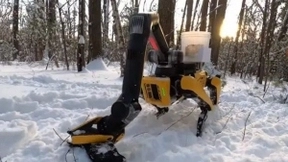 战争进入AI时代！美国机器狗已经学会跳绳，3只组队协作惊呆网友