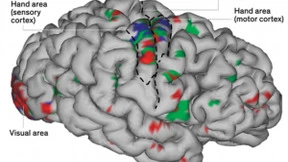 科学家打造全套人工神经系统，让瘫痪病人重新控制身体