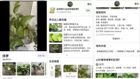 用了百度大字版App，父母分分钟化身5G冲浪达人