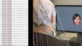 AI破解脑电波，准确率超80％！高度还原你眼中最美的ta