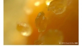 OPPO Find X3采用姜文滤镜 每人都有独特色彩
