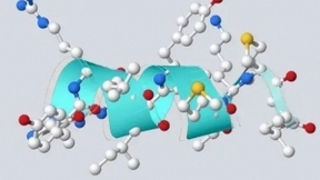 IBM开发AI发明新的抗生素-而且已经做出来两种了