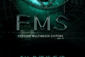 FMS多媒体系统打造新一代突破性应用，架构价值创新和技术创新桥