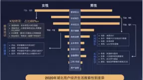 百度“宝藏湖北”2021搜索大数据：湖北政务搜索同比激增50%