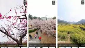 百度地图全景留住“春季限定”，AI带用户云赏花