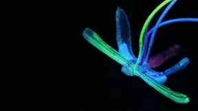 软体机器人DraBot“蜻蜓”可探测水中的环境状况