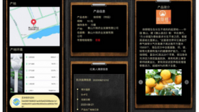浙江移动：加速融合创新，推动数智化转型