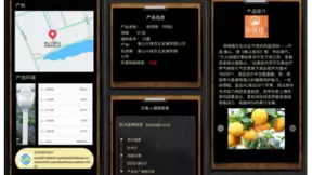 浙江移动：加速融合创新，推动数智化转型