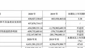 交卷！寒武纪2020年度营收稳步上涨3.38%
