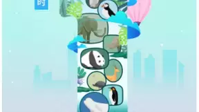 以AI科技驱动「野生动植物保护」，腾讯Light·公益创新挑战赛决赛即将开启