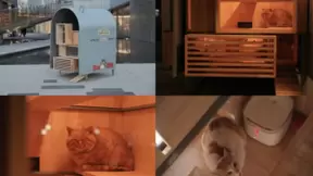 关爱弱势、点亮梦想，百度星辰计划凸显“大厂担当”！