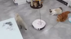 美的M6扫地机器人：Z世代用消费力证明的潮流宅家玩具