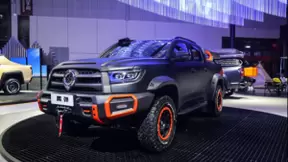 多省多地迎皮卡解禁 长城炮引领乘用化皮卡热潮“风吹正劲”