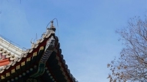 北京大学未来技术学院揭牌，将建大数据与生物医学人工智能系